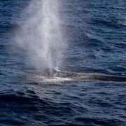 ヒメ日記 2025/04/27 12:46 投稿 つむぎ ぽちゃらん神栖店