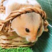 ヒメ日記 2025/05/04 11:56 投稿 つむぎ ぽちゃらん神栖店