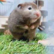 つむぎ 6/29 ぽちゃらん神栖店