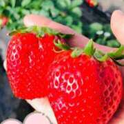 ヒメ日記 2025/02/04 18:00 投稿 アオイ Club 妻