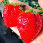 ヒメ日記 2025/03/15 09:15 投稿 アオイ Club 妻