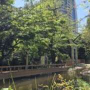 ヒメ日記 2025/04/17 11:22 投稿 アオイ Club 妻