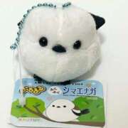 ヒメ日記 2025/04/19 09:02 投稿 アオイ Club 妻