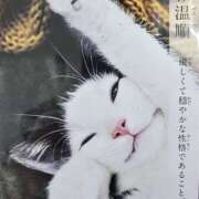 ヒメ日記 2025/05/02 11:30 投稿 アオイ Club 妻