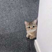 ヒメ日記 2025/05/15 17:23 投稿 アオイ Club 妻