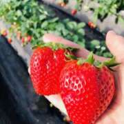 ヒメ日記 2025/07/19 09:28 投稿 アオイ Club 妻