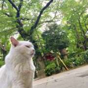 ヒメ日記 2025/07/28 09:12 投稿 アオイ Club 妻