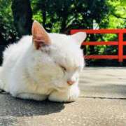 ヒメ日記 2025/10/10 10:04 投稿 アオイ Club 妻