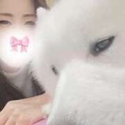 ヒメ日記 2025/10/25 09:15 投稿 アオイ Club 妻