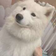 ヒメ日記 2025/11/10 23:31 投稿 アオイ Club 妻