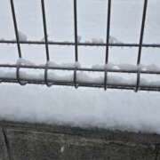 ヒメ日記 2026/02/08 09:27 投稿 アオイ Club 妻