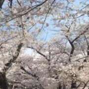 ヒメ日記 2026/03/27 10:03 投稿 アオイ Club 妻