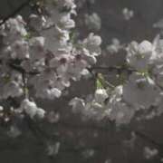 ヒメ日記 2026/03/28 09:19 投稿 アオイ Club 妻