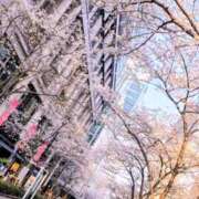 ヒメ日記 2026/03/30 09:22 投稿 アオイ Club 妻