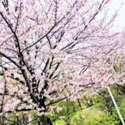 ヒメ日記 2026/03/31 23:34 投稿 アオイ Club 妻