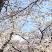 ヒメ日記 2026/04/09 10:05 投稿 アオイ Club 妻