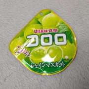 ヒメ日記 2025/04/12 09:45 投稿 ワカナ Club 妻