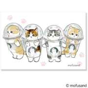 ヒメ日記 2025/05/22 21:47 投稿 白峰 響乃 Canx2京都店