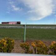 ヒメ日記 2024/12/28 14:27 投稿 ゆき 西船人妻花壇