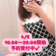 ヒメ日記 2025/04/06 12:05 投稿 ゆき 西船人妻花壇