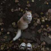 ヒメ日記 2025/10/23 21:26 投稿 なぎさ 極SPA（中洲）