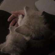 ヒメ日記 2025/10/24 22:26 投稿 なぎさ 極SPA（中洲）