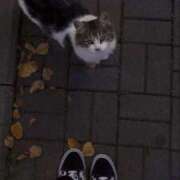 ヒメ日記 2025/10/25 21:56 投稿 なぎさ 極SPA（中洲）