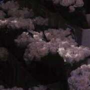 ヒメ日記 2025/11/01 21:46 投稿 なぎさ 極SPA（中洲）