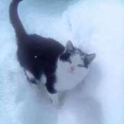 なぎさ お知らせ- ̗̀📢 極SPA（中洲）