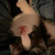 なぎさ えへっ低浮上 極SPA（中洲）