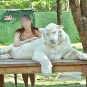 ヒメ日記 2025/02/20 07:02 投稿 ゆうあ【FG系列】 アロマdeフィーリングin横浜（FG系列）