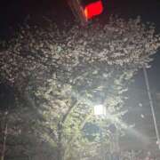 ヒメ日記 2025/04/09 19:07 投稿 ゆうあ【FG系列】 アロマdeフィーリングin横浜（FG系列）