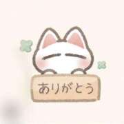 ヒメ日記 2025/04/19 12:09 投稿 ちさこ ぷるるんマダム 難波店