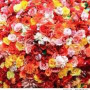 ヒメ日記 2025/01/22 23:11 投稿 みなみ 西川口おかあさん