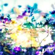 ヒメ日記 2025/01/20 16:10 投稿 みなみ 大宮おかあさん