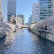 ヒメ日記 2025/04/10 06:33 投稿 ゆう806(yuu) 健康寿命を延ばす！恋愛コミュニティ otsto(オトスト)