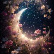 ヒメ日記 2024/12/16 07:30 投稿 神楽愛寧 Guilty concept A