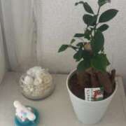 ヒメ日記 2025/03/23 13:17 投稿 神楽愛寧 Guilty concept A