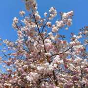 ヒメ日記 2025/03/31 18:21 投稿 神楽愛寧 Guilty concept A