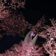 ヒメ日記 2025/04/09 17:15 投稿 神楽愛寧 Guilty concept A