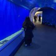 ヒメ日記 2025/04/23 14:00 投稿 神楽愛寧 Guilty concept A