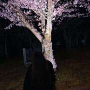 ヒメ日記 2025/05/09 11:45 投稿 神楽愛寧 Guilty concept A