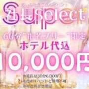 ヒメ日記 2025/11/08 19:15 投稿 神楽愛寧 Guilty concept A