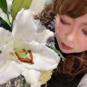 ヒメ日記 2025/12/13 17:45 投稿 神楽愛寧 Guilty concept A