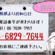 ヒメ日記 2025/12/20 11:15 投稿 神楽愛寧 Guilty concept A