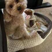 ヒメ日記 2026/01/26 08:15 投稿 神楽愛寧 Guilty concept A