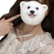 ヒメ日記 2025/11/30 13:48 投稿 まいか 美少女宅急便