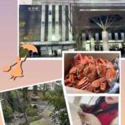 ヒメ日記 2024/12/19 13:26 投稿 かおるこ 横浜ひよこ倶楽部