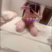 ヒメ日記 2024/12/22 10:06 投稿 かおるこ 横浜ひよこ倶楽部