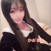 ヒメ日記 2024/12/24 10:16 投稿 かおるこ 横浜ひよこ倶楽部